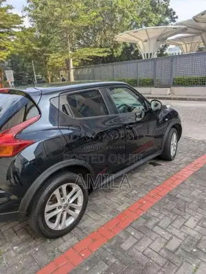 Nissan Juke 2010 SUV (Used)