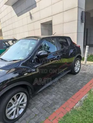 Nissan Juke 2010 SUV (Used)