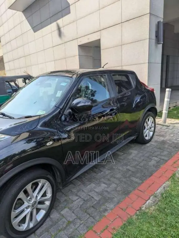 Nissan Juke 2010 SUV (Used)