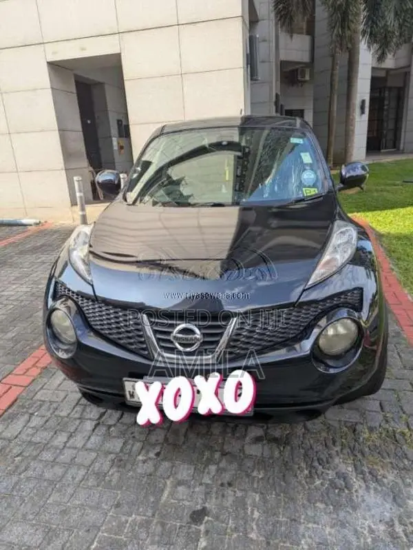 Nissan Juke 2010 SUV (Used)