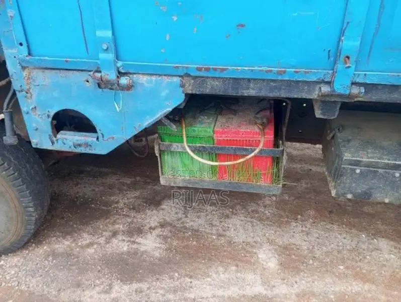 Isuzu Power Door Truck 1980 Lorry (Used)