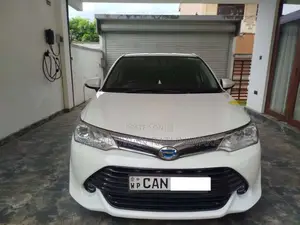 Toyota Axio G Grade 2015 Car (Used)