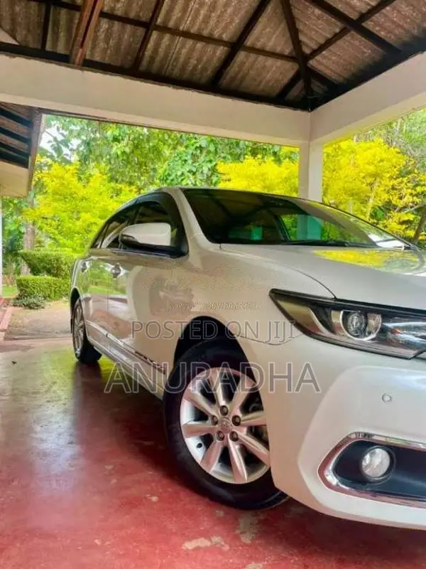 Toyota Premio 2019 Car (Used)