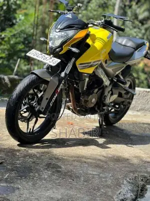 Bajaj Pulsar NS200 2015 Motorbike (Used)