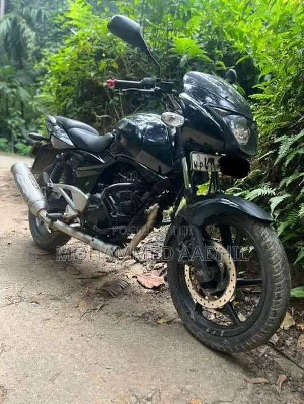 Bajaj Pulsar 200 2009