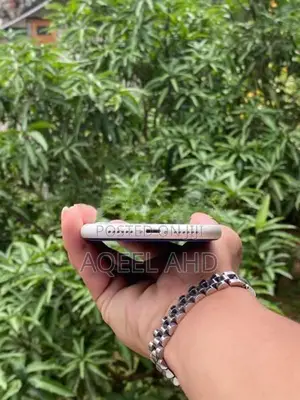 Apple iPhone 11 (Used)