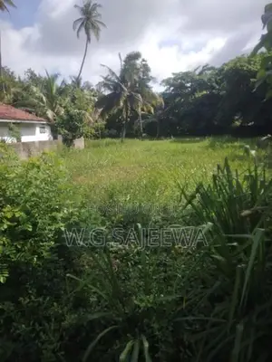 35 Perch Land for Sale in Thaladuwa Road, Negombo