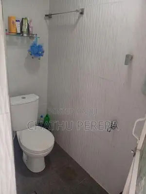 House for Lease in Colombo 13
