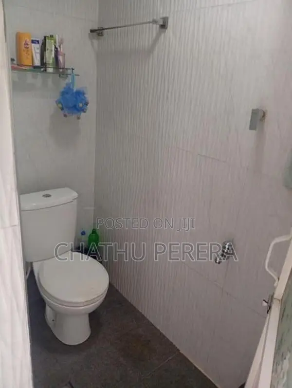 House for Lease in Colombo 13