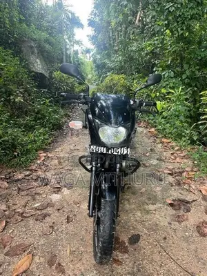 Bajaj Pulsar 150 2015