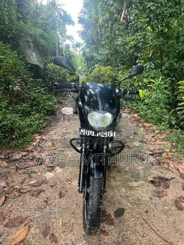 Bajaj Pulsar 150 2015
