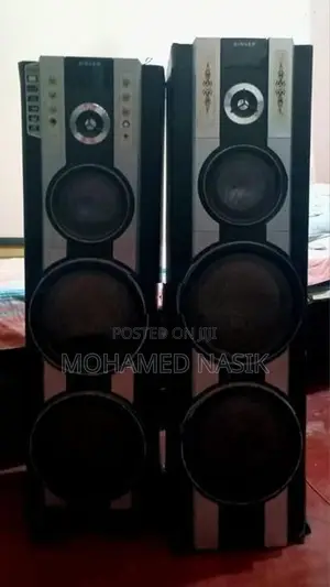 Singer Speaker Set