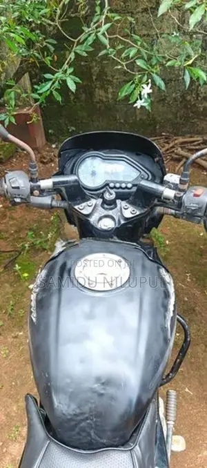 Bajaj Pulsar 150 2016