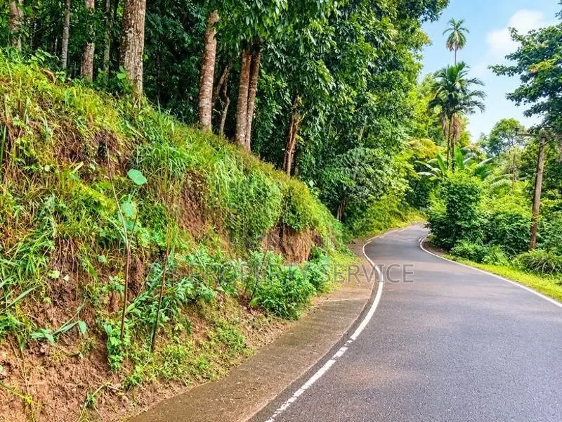 154 Perches Land For Sale In Pallegama (Sspl-538) Katugastota