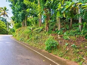 154 Perches Land For Sale In Pallegama (Sspl-538) Katugastota
