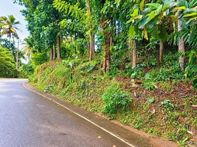 154 Perches Land For Sale In Pallegama (Sspl-538) Katugastota
