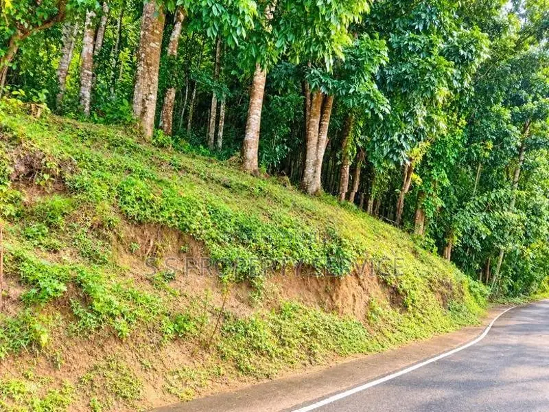 154 Perches Land For Sale In Pallegama (Sspl-538) Katugastota