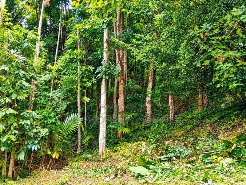 154 Perches Land For Sale In Pallegama (Sspl-538) Katugastota