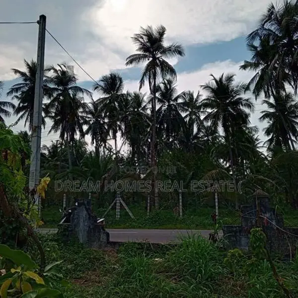 15 Perches Land For Sale – Nilpanagoda, Minuwangoda
