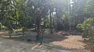 Land For Sale - Gampaha