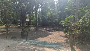Land For Sale - Gampaha