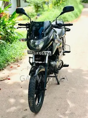 Bajaj Pulsar 150 2015