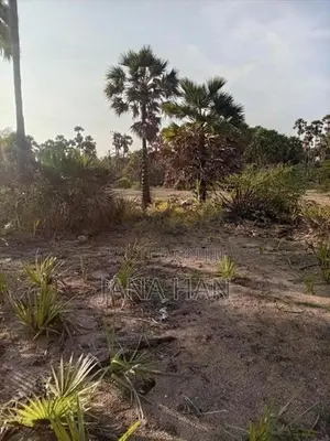 Land For Sale In Jaffna