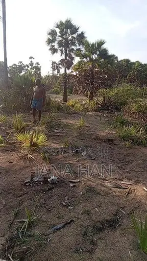 Land For Sale In Jaffna