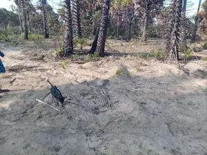 Land For Sale In Jaffna