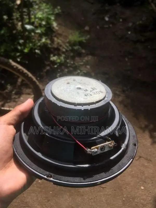 Sony Bass Speaker