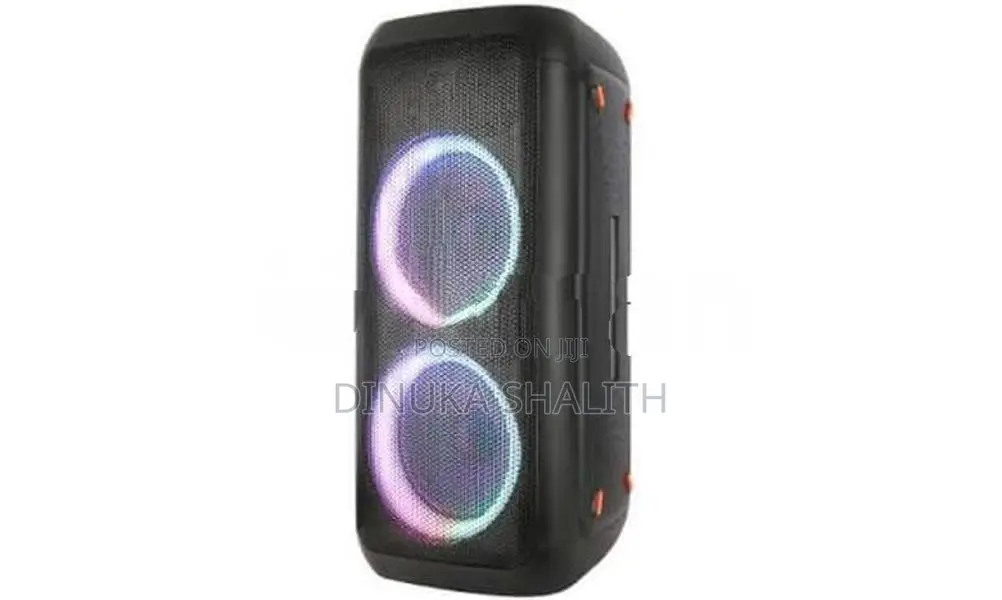 Portable Party Speaker System