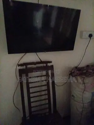 Singer Television