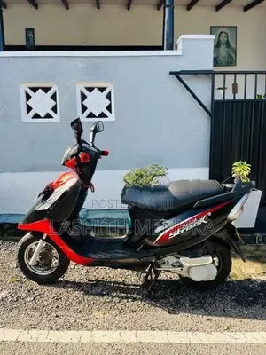TVS Streak 2011