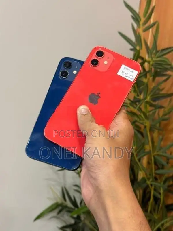 Apple iPhone 12 128GB (Used)