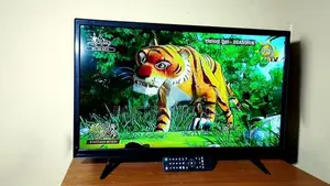 MI+ 32" Inches TV