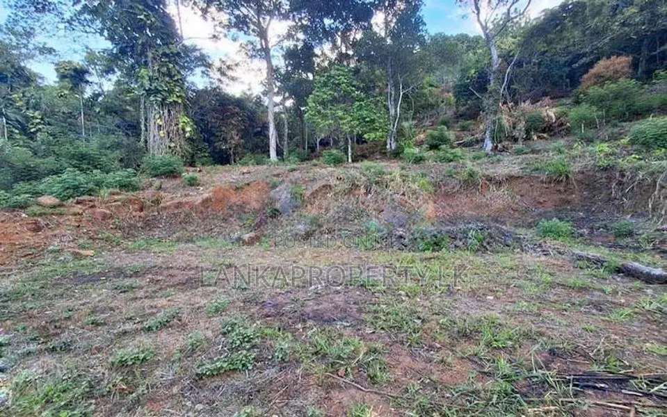 Scenic Road Facing Land for Sale, Halpe, Belihuloya