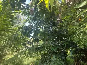 Super Land For Sale Borelesgamuwa In Boralesgamuwa