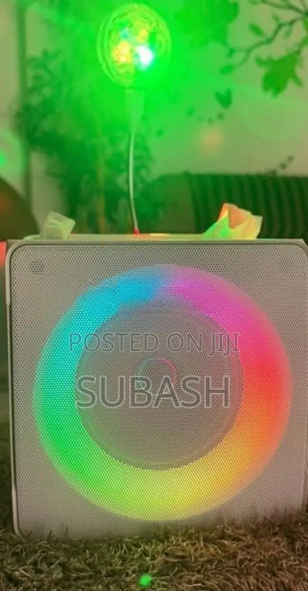 Wireless Karaoke Speaker