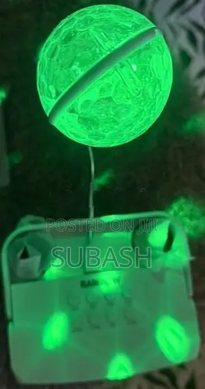 Wireless Karaoke Speaker