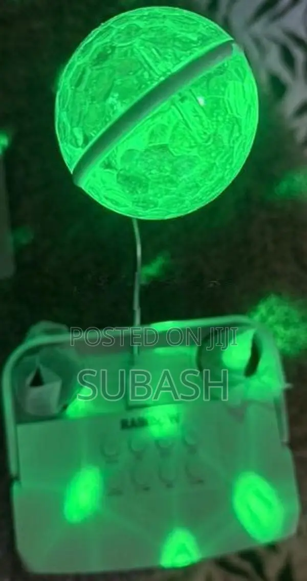 Wireless Karaoke Speaker