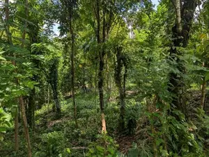 Brand New Land Sale in Aladeniya