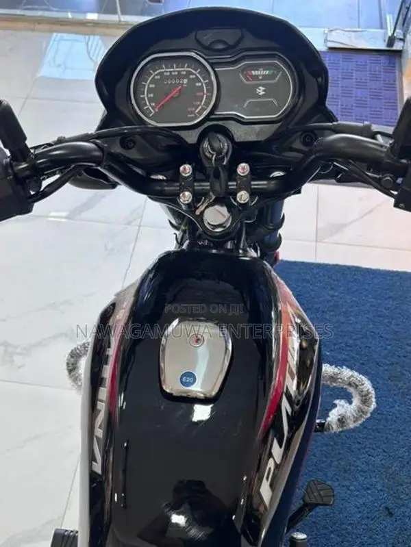 Bajaj Platina 100 ES 2026