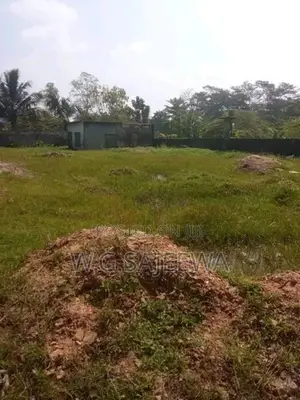 70 Perch Land for Rent in Panadura