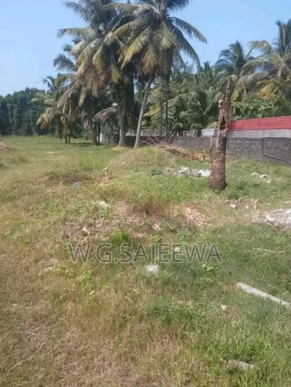 70 Perch Land for Rent in Panadura