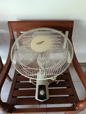 Telesonic 16" Wall Fan (TL-1611WF)