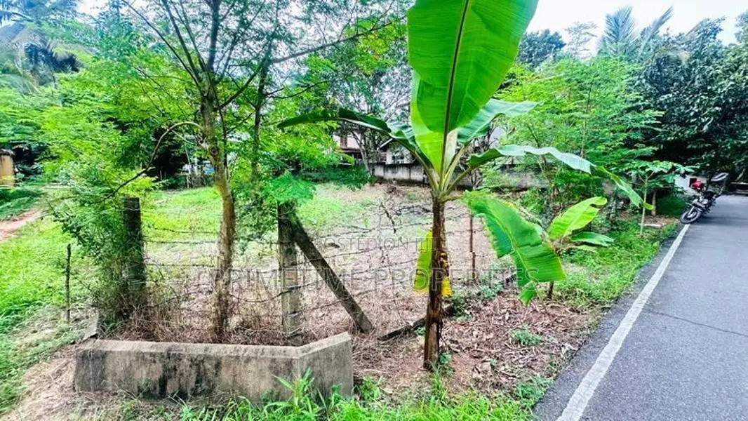 (BL256) 15 Perch Land for Sale in Yatiyana, Minuwangoda