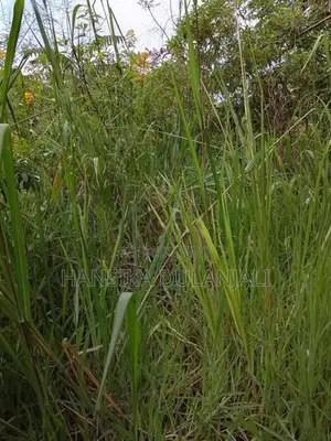 Land In Bandarawela