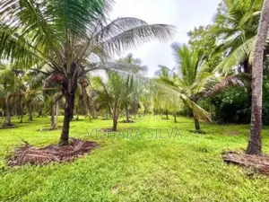 10-Acre Profitable Agricultural Land for Long-Term Lease