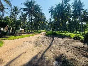 Warehouse for Rent in Wattala