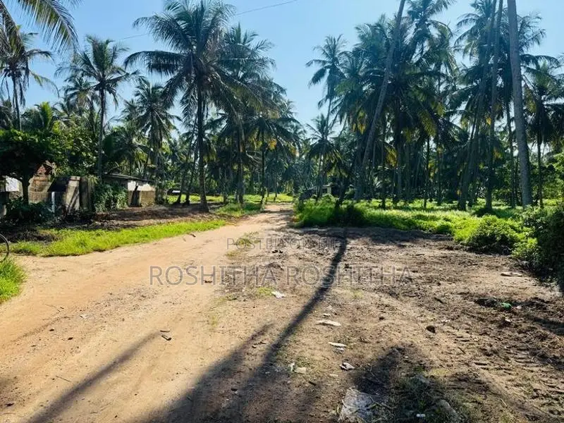 Warehouse for Rent in Wattala